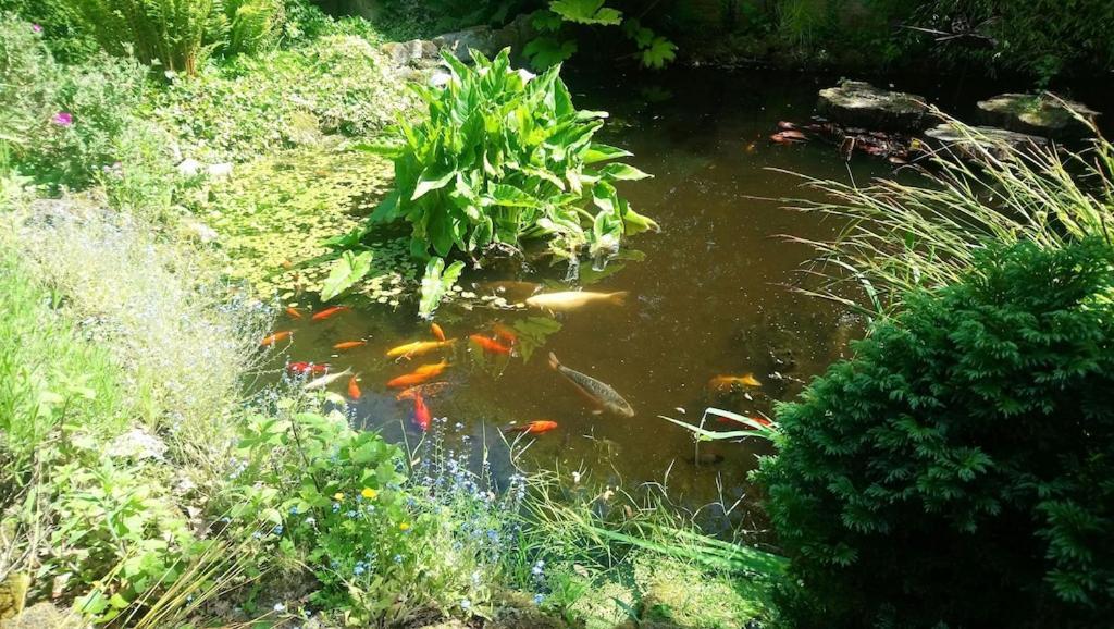 'Monktonmead Lodge' In Secluded Setting, With Private Indoor Pool. Ryde  Bagian luar foto