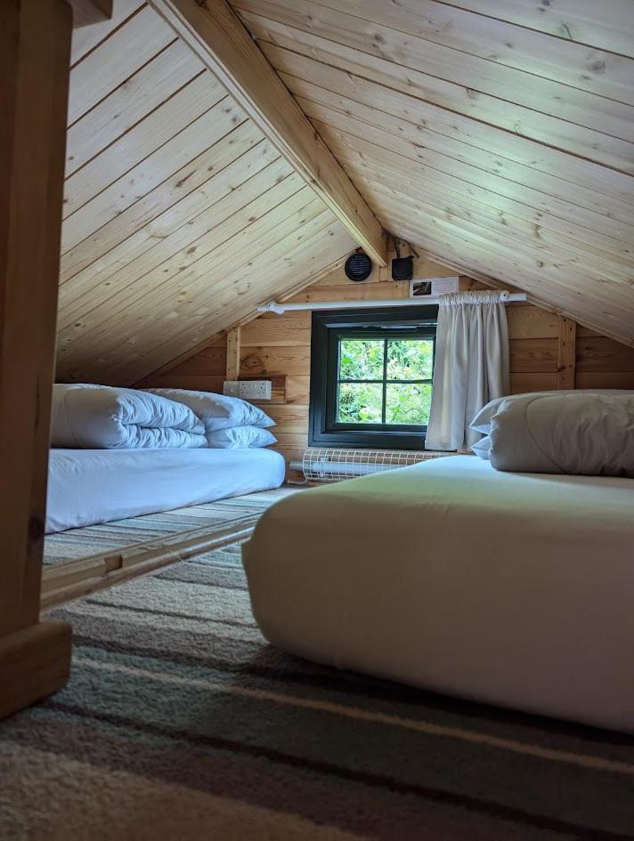 'Monktonmead Lodge' In Secluded Setting, With Private Indoor Pool. Ryde  Bagian luar foto